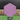 Six Sided Discs Hexagon - Base Purple