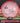 Axiom Hex Proton Pink/Red/Black/Silver 169.5g