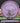 Axiom Paradox Proton Purple/White/Black 176g