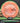 Axiom Rhythm Cosmic Neutron Salmon/ Swirly Green 165.5g