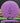 DGA Blowfly 1 Z Line Purple/Black 172g