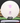 Discmania P1 P-Line Flex 2 White/Rose Gold 176g