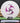 Discmania P2 White/Purple 175.5g