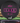 Discraft Luna Black/Magenta Shatter 175g