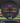 Discraft Luna Black/Rainbow 174g