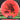 Discraft Zombee