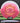 Innova Destroyer Pink-White/Gold-Red 175.2g