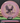 Innova Eagle Pro mauve/black & gold sparkle 173.3g