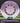 Innova Eagle purple & white/gold holo 175.4g