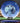 Innova Rat Blue/White/Light Blue/Black 173.7g