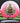 Innova Rat CryZtal Pink-White/Lime 168.3g