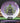 Innova Rat CryZtal Purple-White/Lime 167.6g
