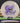 Latitude 64 Diamond Opto White/Purple 159g