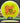 Latitude 64 Diamond Opto Yellow/White/Red 158.3g