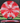 Meridian Discs Current Red-White/Silver 173g