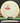 Mint Discs Diamondback Nocturnal green/red lasers 174.4g