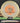 Mint Discs Freetail Nocturnal Halloween Nocturnal /Orange 174g