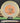 Mint Discs Freetail Nocturnal Halloween Nocturnal /Orange 174g