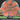 Mint Discs Apex Swirl Jackalope