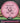 MVP Deflector Proton pink 176.2g