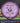 MVP Deflector Proton Purple 178.1g