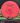 MVP Ion red 177.5g