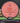 MVP Photon Neutron Salmon 170g