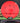 MVP Spin Neutron Red 166.9g