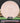 MVP Tesla Neutron Pale Pink 173g