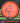 MVP Volt Proton Orange 174.8g