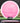 MVP Wave Neutron Pink/Silver 164g
