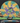 Streamline Shift Cosmic Neutron Sea-Mango 174g