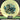 Thought Space Athletics Glow Praxis