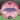 2025 Discraft Tour Series: Aaron Gossage – Raptor