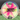 2025 Discraft Tour Series: Holyn Handley – Vulture