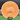 MVP Plasma Signal + Project Lab Coat - Pre-order
