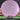 Axiom Discs Fission Crave