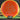 Axiom Discs Excite