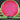 Axiom Proton Fireball
