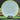 Axiom Discs Neutron Insanity