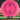 Axiom Discs Electron + Cosmic Electron Proxy