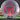 Discraft Nuke
