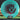 Dynamic Disc Lucid Moonshine Convict