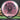 MVP Plasma Octane