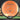 MVP Plasma Octane