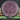 MVP Neutron Teleport