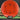MVP Neutron Uplink