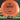 Mint Discs Goat