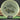 Mint Discs Nocturnal Mustang