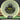 Mint Discs Nocturnal Profit